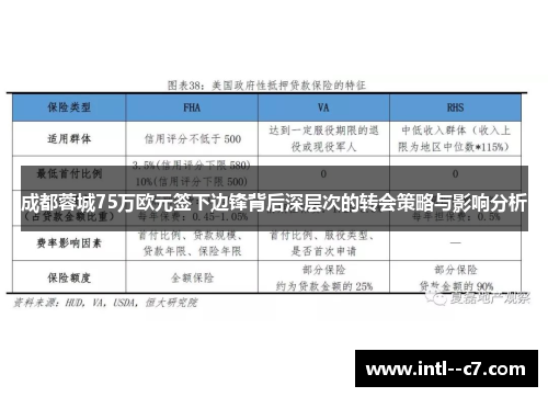 成都蓉城75万欧元签下边锋背后深层次的转会策略与影响分析 成都蓉城75万欧元签下边锋背后深层次的转会策略与影响分析