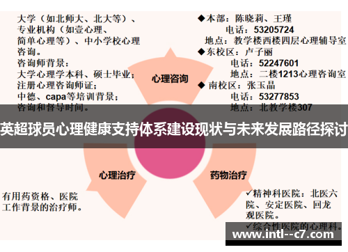 英超球员心理健康支持体系建设现状与未来发展路径探讨
