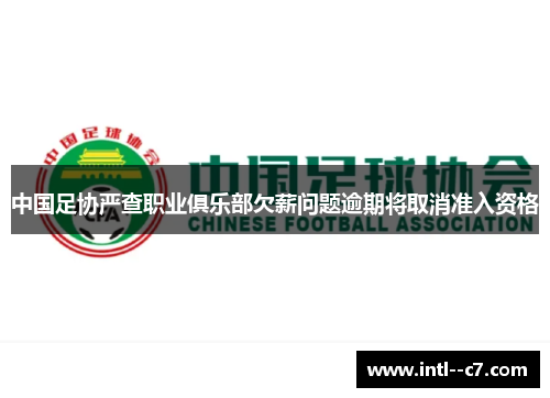 中国足协严查职业俱乐部欠薪问题逾期将取消准入资格 中国足协严查职业俱乐部欠薪问题逾期将取消准入资格